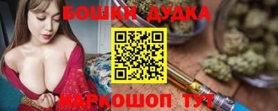 мдпв Новодвинск